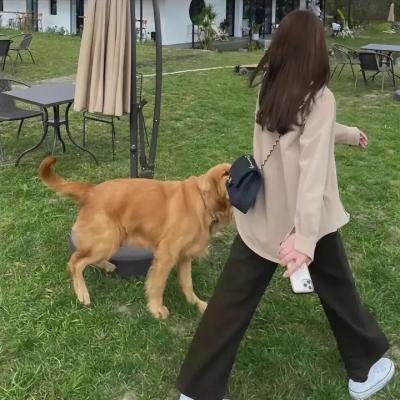 党同伐异